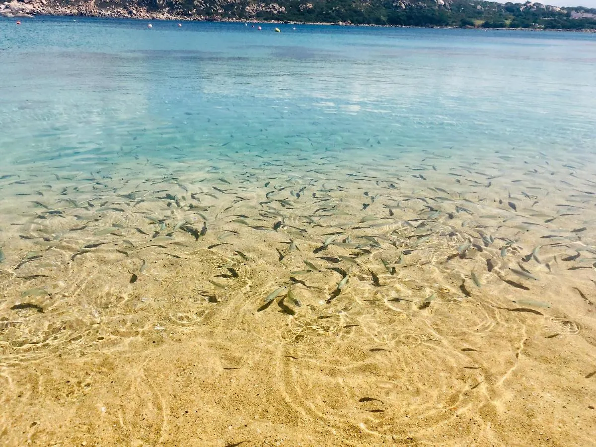 Le case di Bea Santa Teresa di Gallura Italia